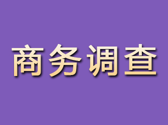 蕉岭商务调查